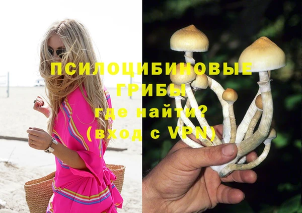 стаф Алексеевка