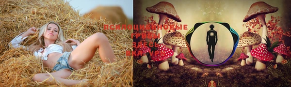 меф Алзамай