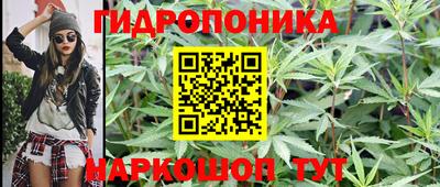 кокс Можга