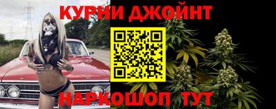 кокс Можга