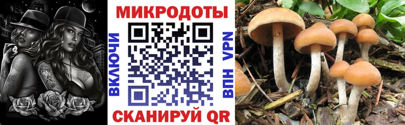 цены   Воткинск  сайты даркнета телеграм  Галлюциногенные грибы мицелий 