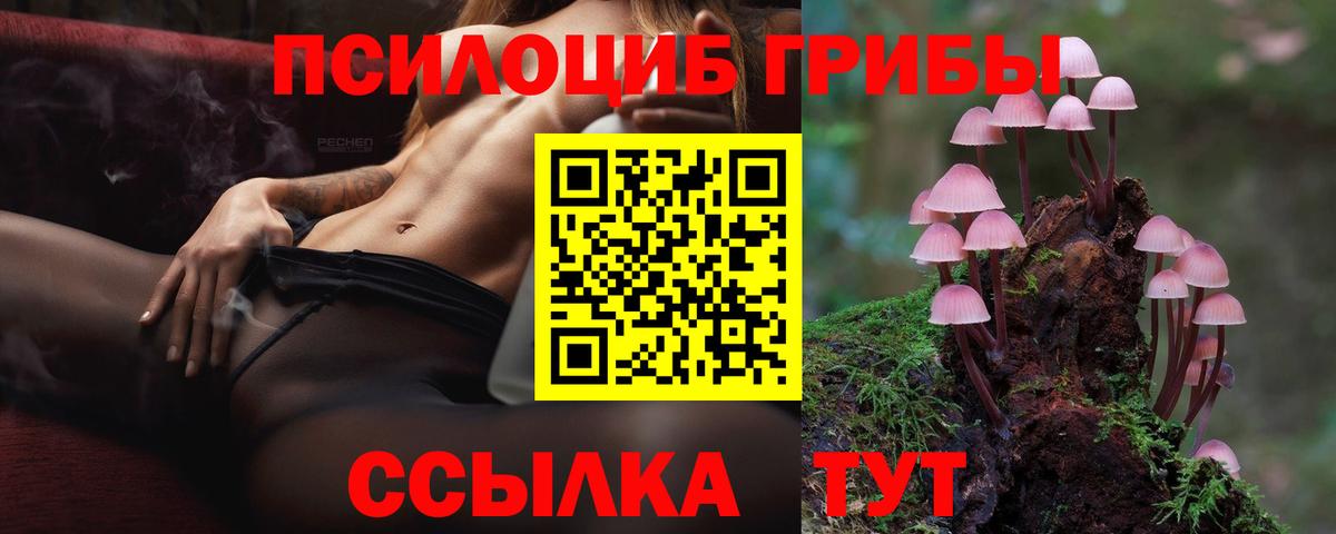 Воткинск  Псилоцибиновые грибы Cubensis  Вход с VPN 